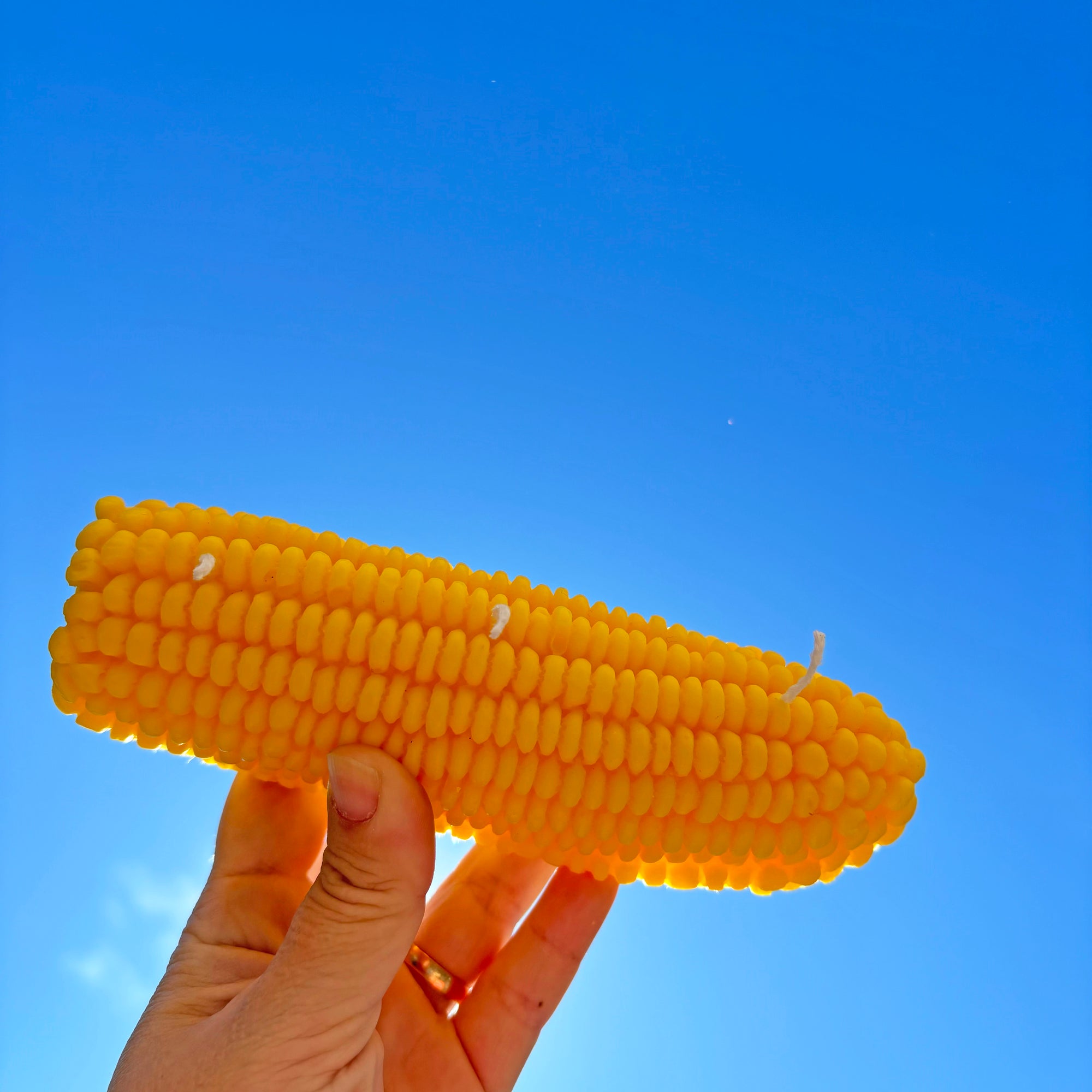 Corn shaped Candle │ Vegetable Candle │ YUIBROOKLYN