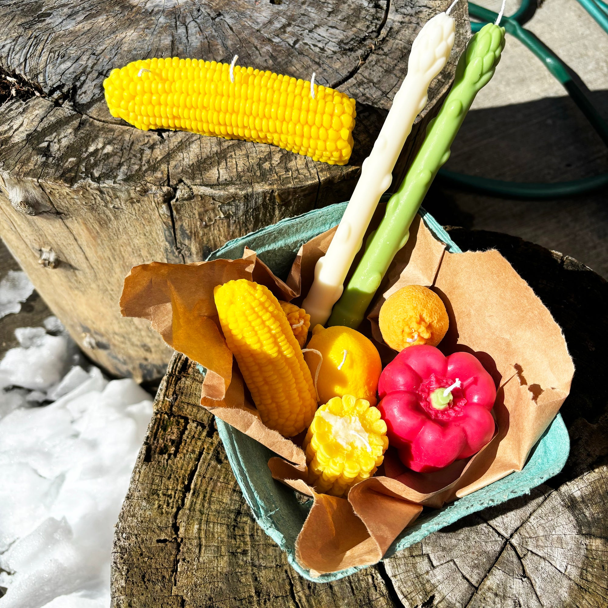 Corn shaped Candle │ Vegetable Candle │ YUIBROOKLYN