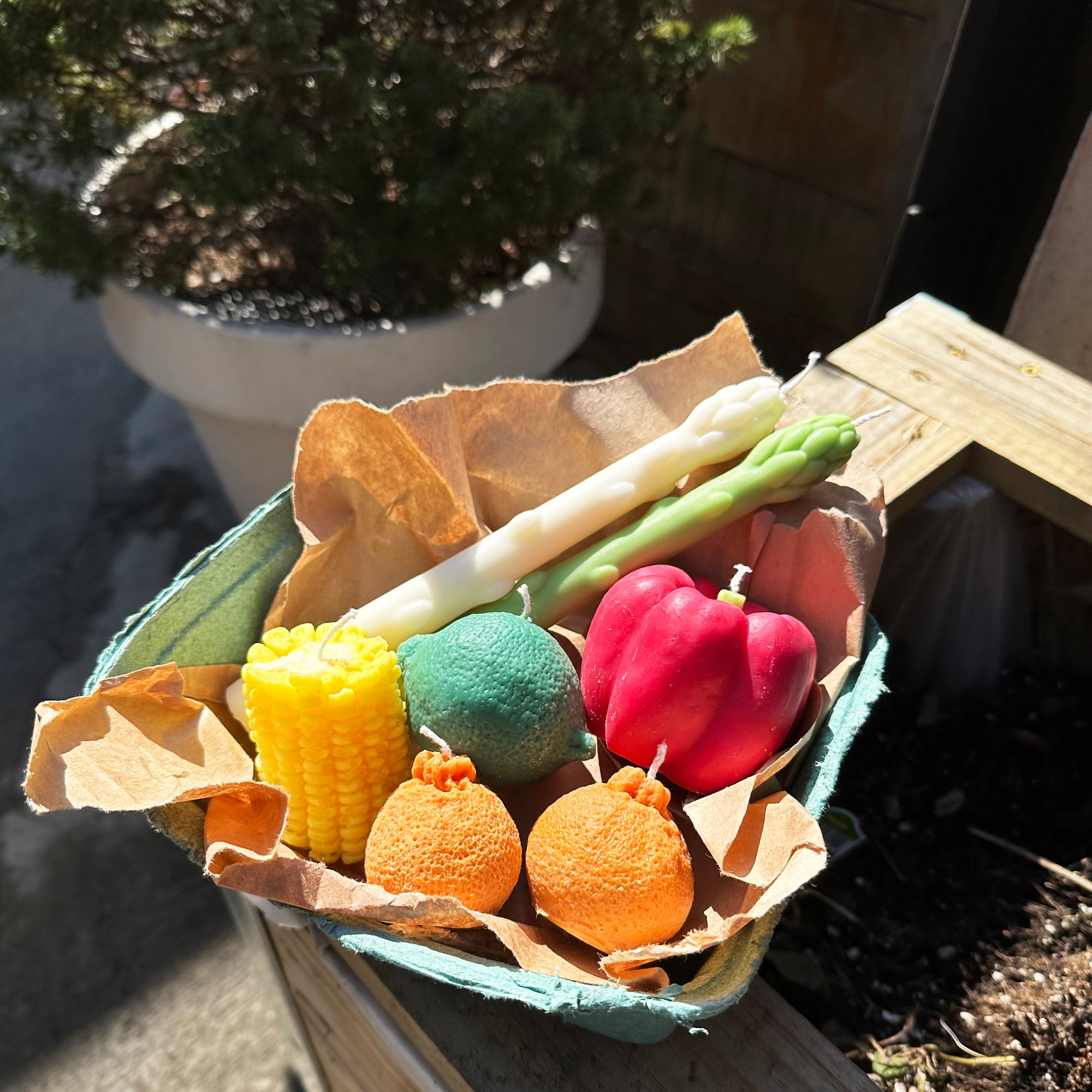 Farmers Market Candle Set │ Vegetable Candle │ YUIBROOKLYN