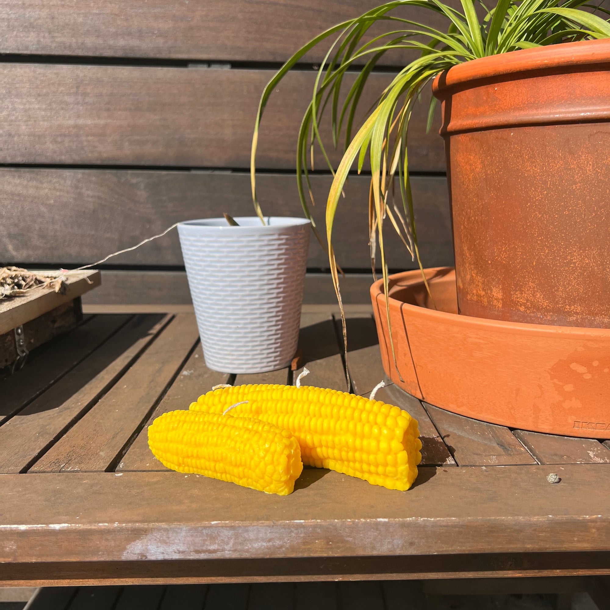 Corn shaped Candle │ Vegetable Candle │ YUIBROOKLYN