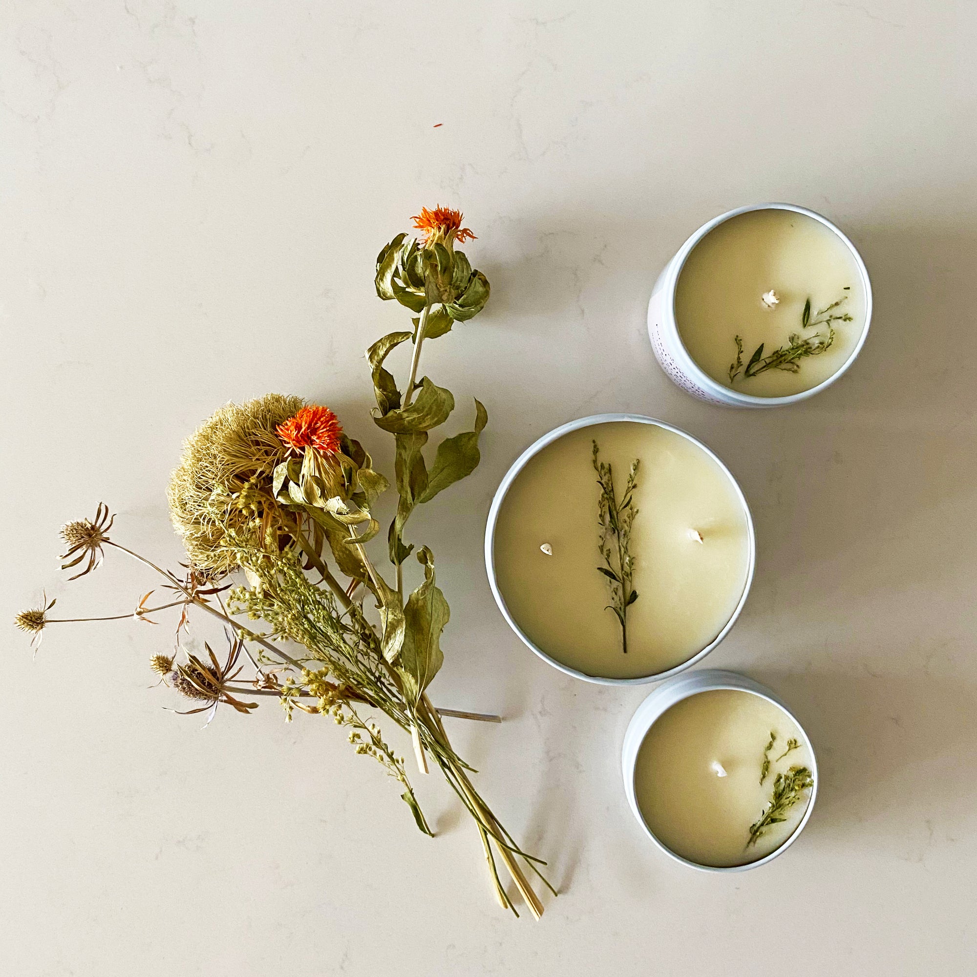 Signature collection candle Variety pack