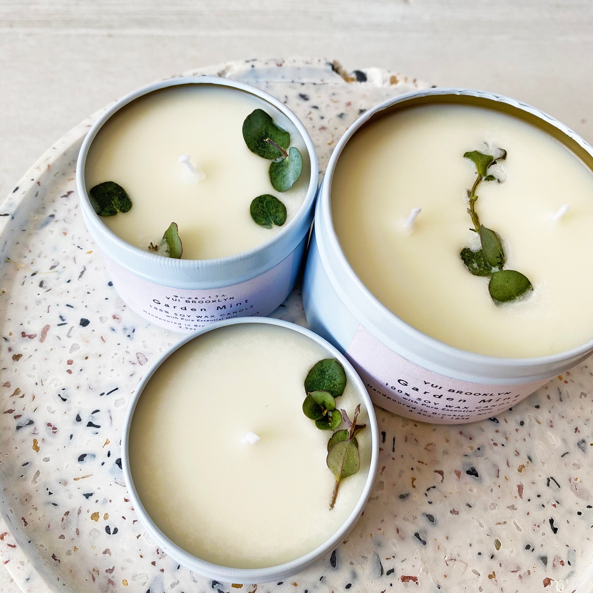 Signature collection candle Variety pack
