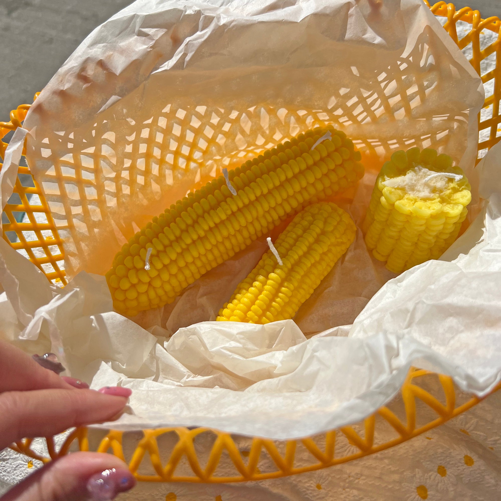 Corn shaped Candle │ Vegetable Candle │ YUIBROOKLYN