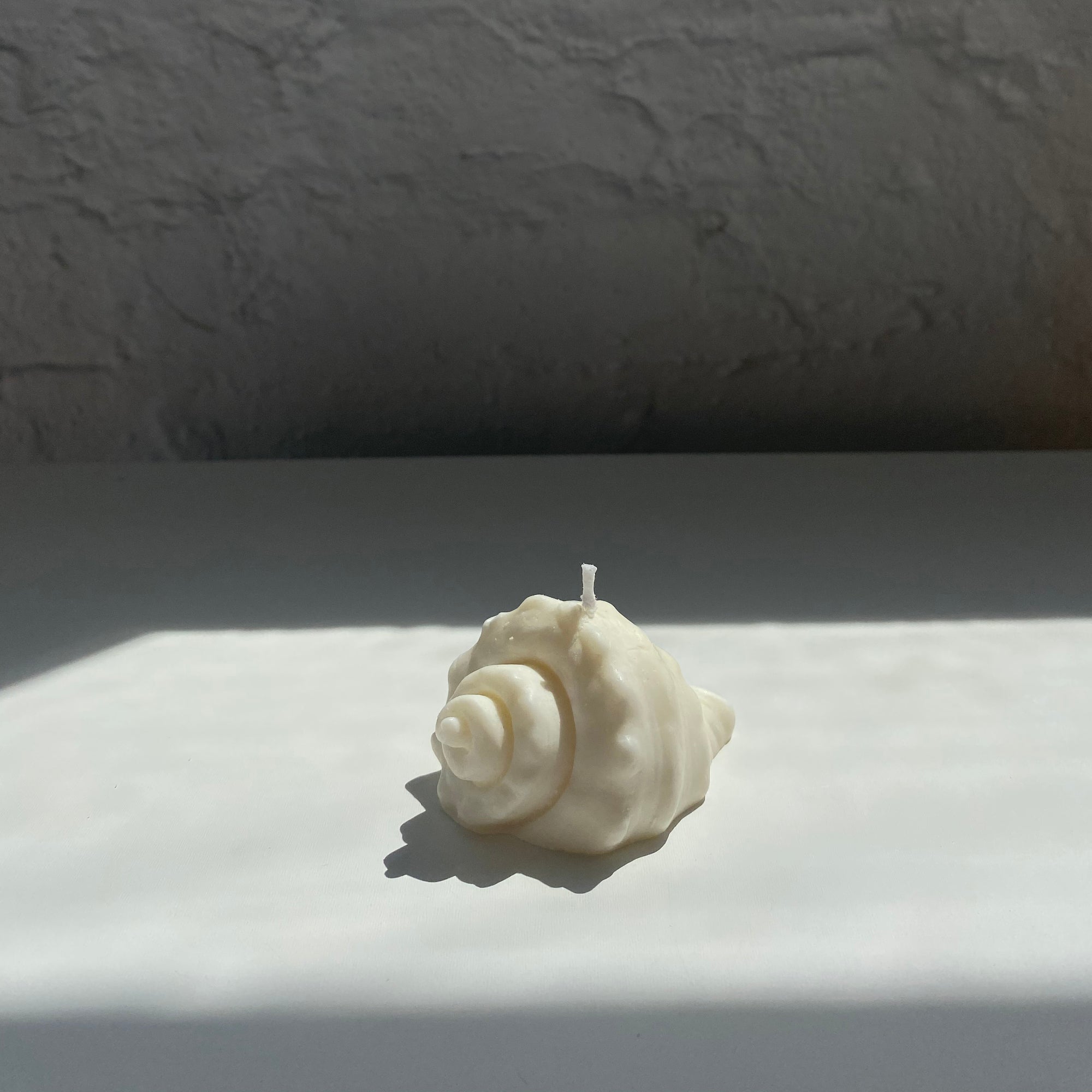 Conch Shell Shape Candle  │ Kawaii Candle