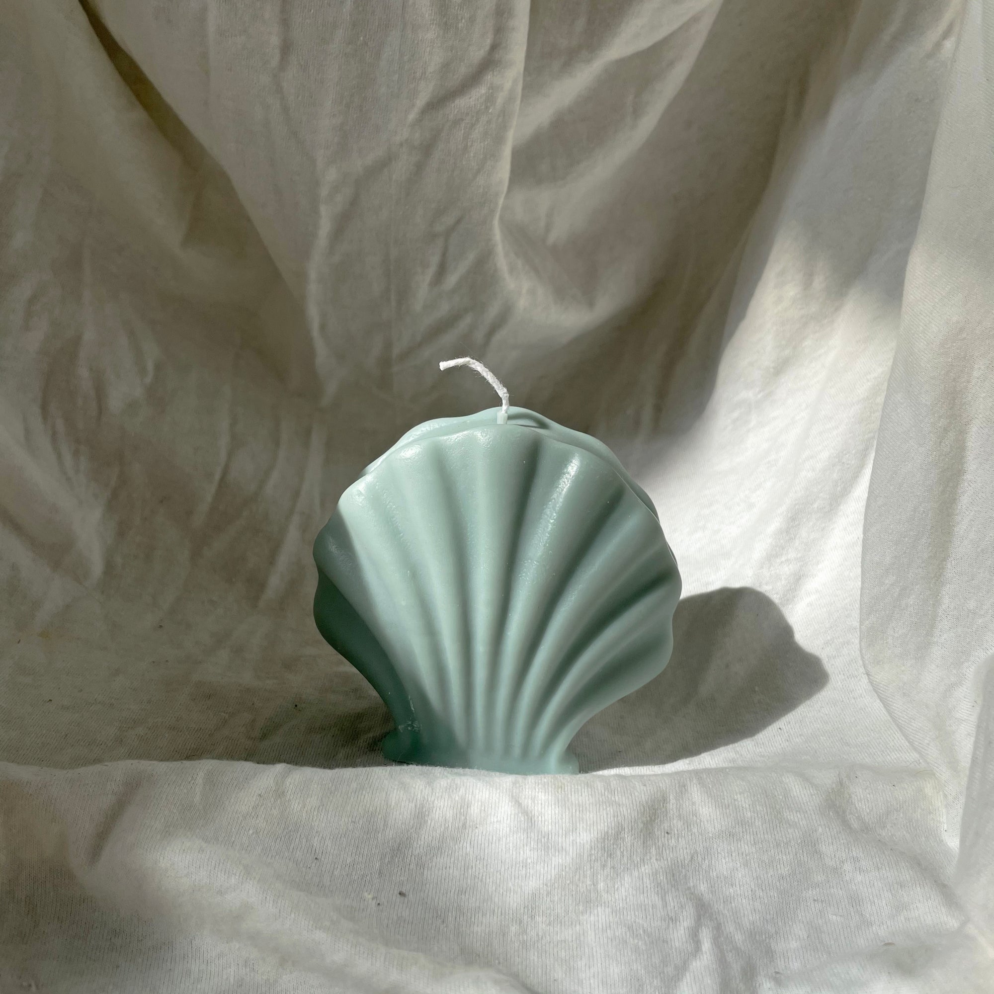 Sculpture Shell Shaped Soy Wax Candle │ Kawaii Candle │ Yui Brooklyn