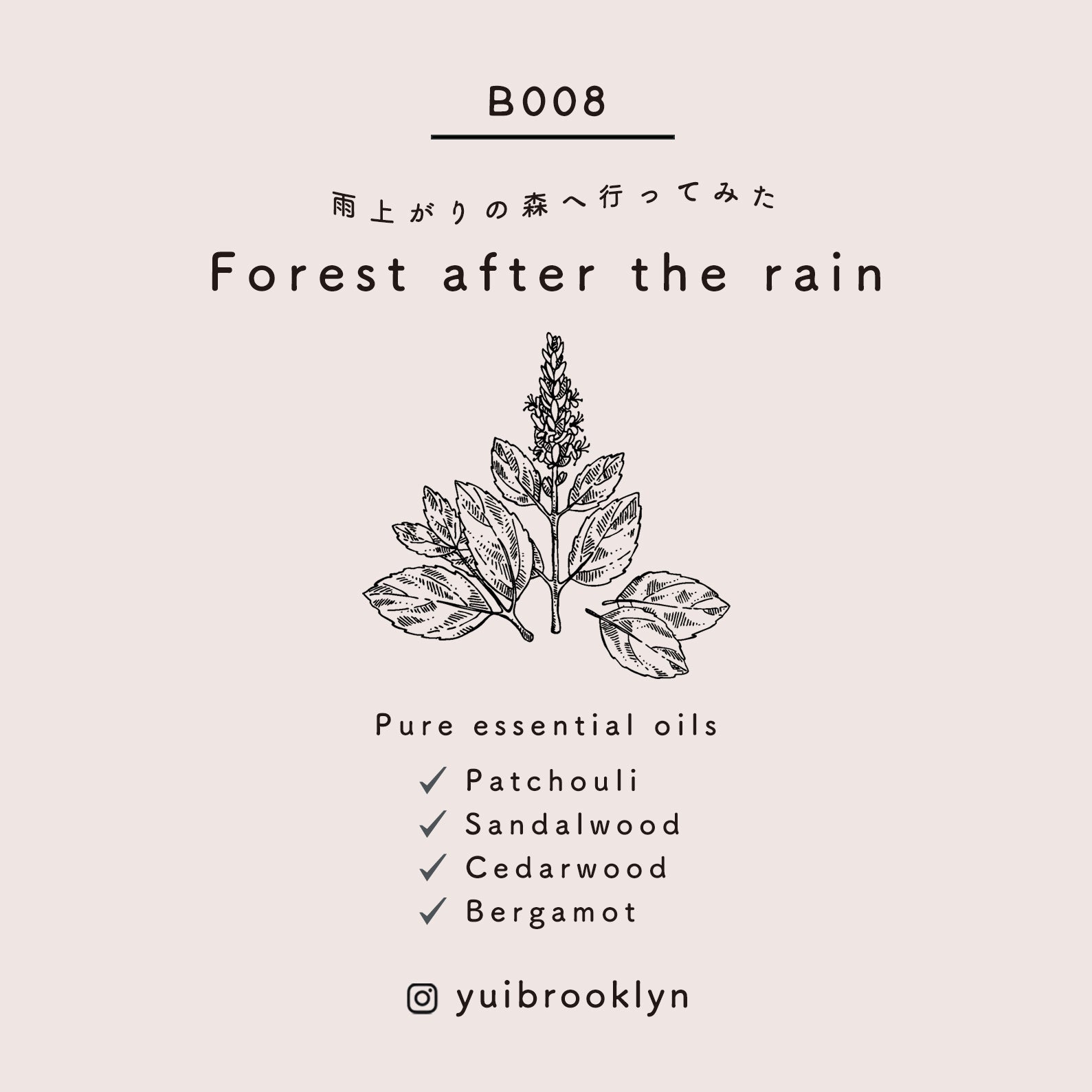 Forest after the rain【100% Pure Essential Oils】